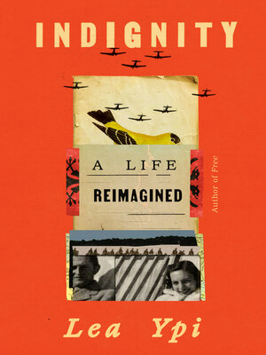 cover image of Indignity